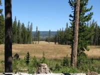 Yellowstone Meadows